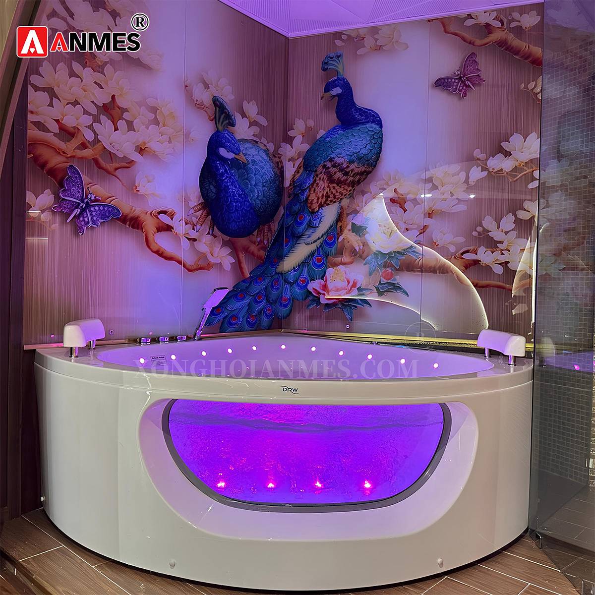 Bồn tắm massage DR 0018