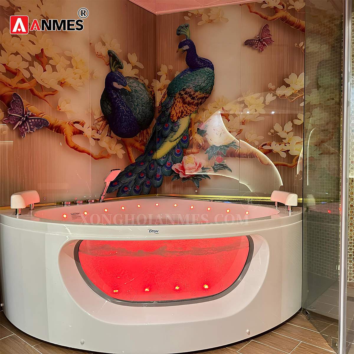 Bồn tắm massage DR 0018