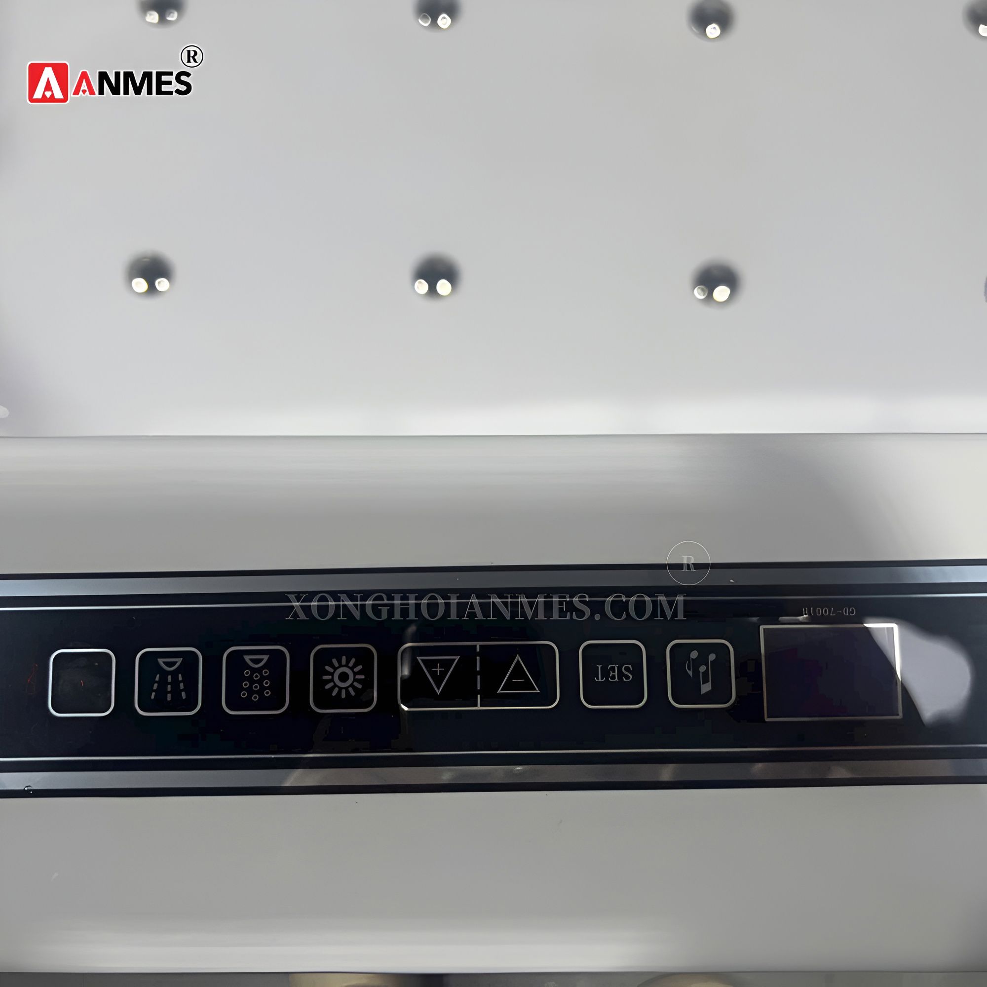 Bồn tắm massage Gemy G9848