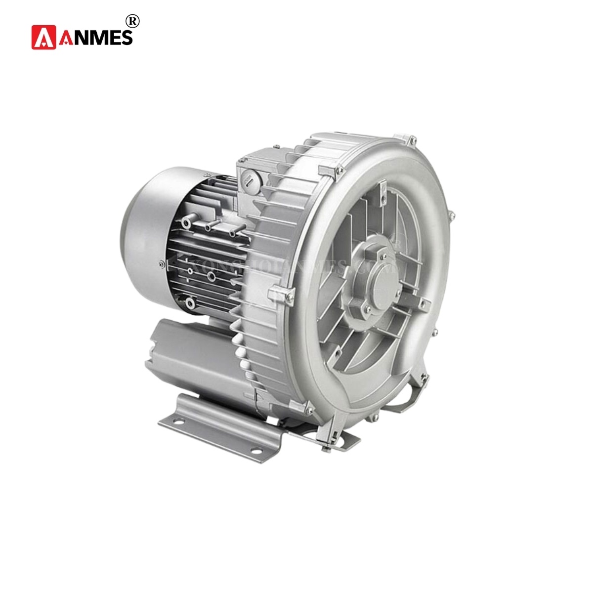 Máy Thổi Khí Bể Bơi Con Sò Emaux