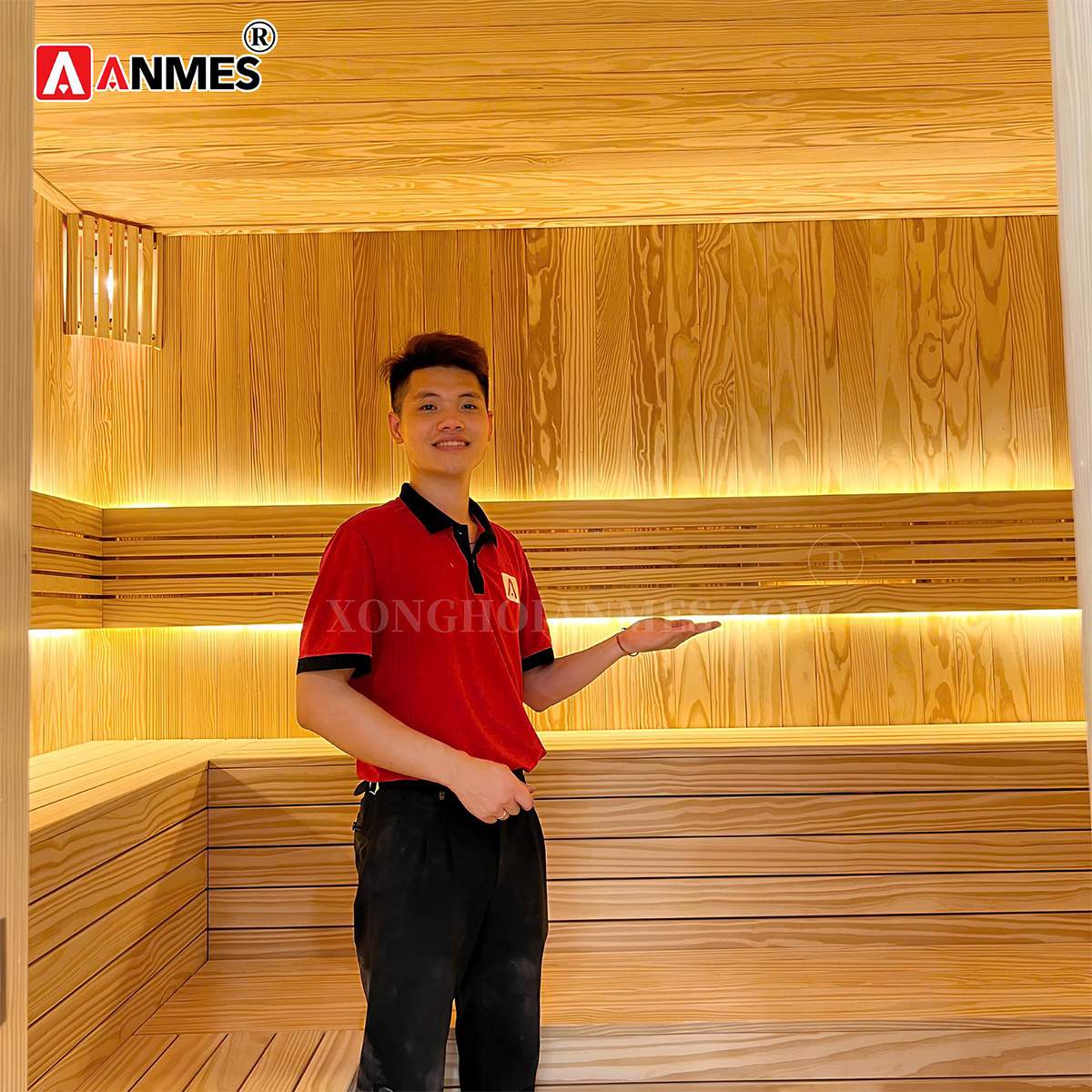 Nguyên lí hoạt động của phòng xông hơi khô